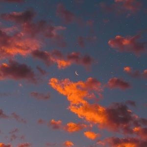 Meet your Posher, Stella